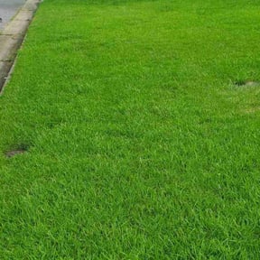 landscaping by Countryside lawn and garden reviewed on August 17, 2025