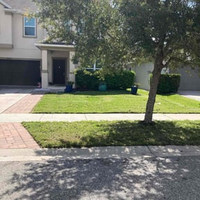 yard work by Trevol lawn general services LLC reviewed on November 23, 2025