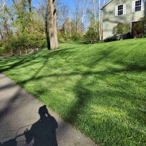 yard work by Moore lawn care reviewed on December 21, 2025