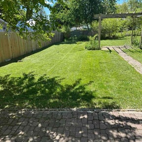 landscaping by Zink Services reviewed on August 21, 2025