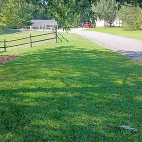 lawn maintenance by Rdgz lawncare reviewed on September 28, 2024