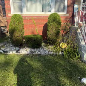 Bush Trimming by Javier&#039;s Lawn Care Services reviewed on October 23, 2025