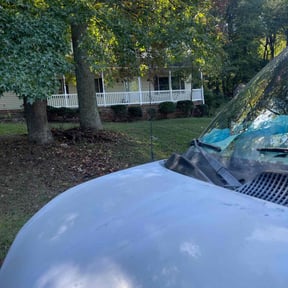 Bush Trimming by Ledezma reviewed on November 24, 2025