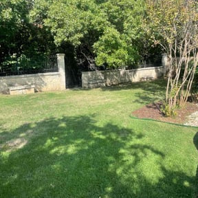 yard maintenance by Sun's Lawn Care LLC. reviewed on January 27, 2026