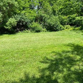 residential landscaping by NJS Mow&Snow reviewed on August 18, 2025