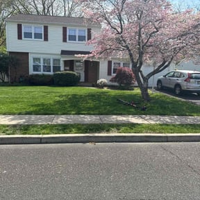 grass cutting by Rafael Navedo reviewed on August 21, 2025