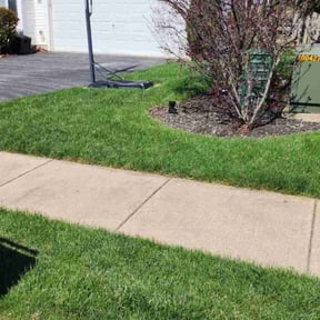 landscaping services by JK Services reviewed on August 20, 2025