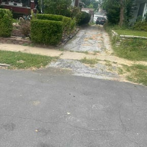 Bush Trimming by Colquitt &amp;Son's Laan Care reviewed on December 17, 2025