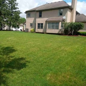 landscape maintenance by Integrity Lawn Care LLC reviewed on August 15, 2025