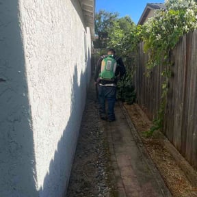 Flower Bed Weeding by D Smith lawn care service reviewed on June 25, 2026