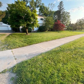 lawn care services by Electric Mowing reviewed on August 18, 2025