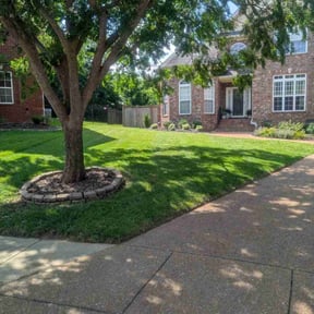 landscaping by AYS Lawncare reviewed on August 16, 2025