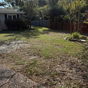 Leaf Removal by Davis Yard Works, LLC reviewed on March 31, 2026