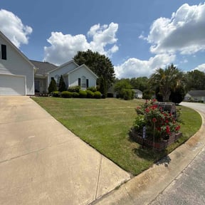 landscaping by T Edwards Lawn and More reviewed on August 16, 2025