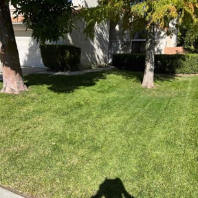 residential landscaping by Landscape reviewed on August 21, 2025