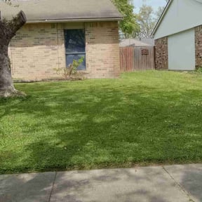 turf care by Oak Landscaping reviewed on May 1, 2024