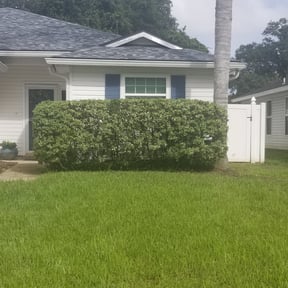 Bush Trimming by Tjs Luxury Lawnservice reviewed on August 16, 2025