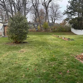 Leaf Removal by Hawkins Contracting &amp; Property Management  reviewed on November 21, 2025