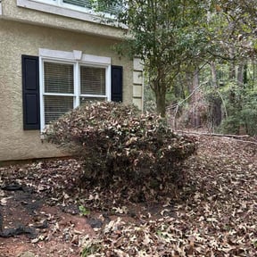 Bush Trimming by Jay1LawnCare LLC reviewed on October 22, 2025