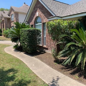 Bush Trimming by Stephenson's Landscaping reviewed on August 20, 2025