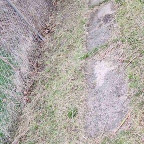 Bush Trimming by Chloe’s Lawn Care LLC reviewed on August 20, 2025