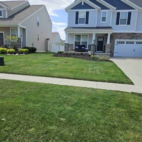 gardening service by Green Missions Landscaping LLC reviewed on August 19, 2025