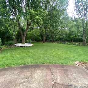 Cleanups by Anton Lawn Care reviewed on August 21, 2025