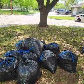Leaf Removal by Logans Lawn service reviewed on May 12, 2026