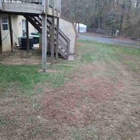 Leaf Removal by CRP Landscape reviewed on August 16, 2025