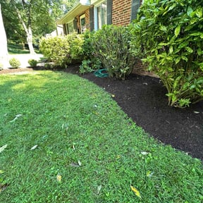 Mulching by Active Property Care reviewed on August 15, 2025