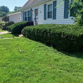 Bush Trimming by Parks Lawn &amp; Landscaping LLC reviewed on August 6, 2026