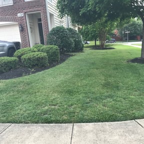 Bush Trimming by GI-Mow reviewed on August 21, 2025