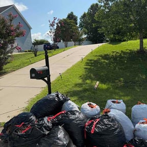 Leaf Removal by Julian and Sons lawncare reviewed on July 16, 2026