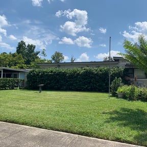 Bush Trimming by Charleston Green Team LLC. reviewed on August 20, 2025