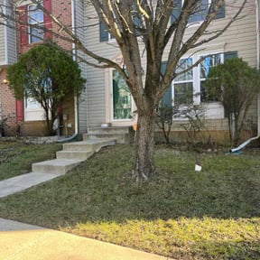 Leaf Removal by G-Man’s Lawn Service reviewed on September 25, 2025