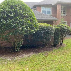 Bush Trimming by Title Landscaping reviewed on August 20, 2025