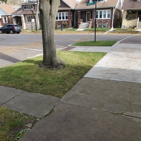 Leaf Removal by Twist and turn handyman services reviewed on August 17, 2025