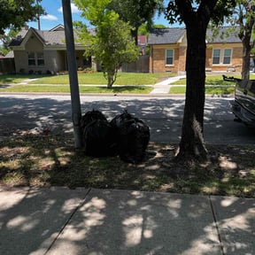 Leaf Removal by Caesar’s Premier Landscaping reviewed on September 21, 2025