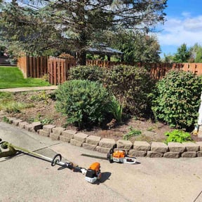 Bush Trimming by Scube and Sons reviewed on August 20, 2025
