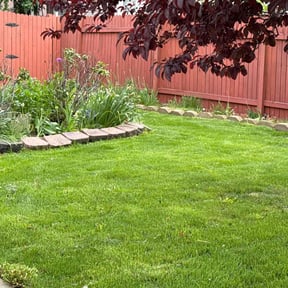 yard maintenance by Paradise landscaping reviewed on November 26, 2025