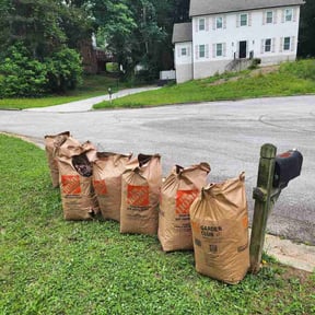 Leaf Removal by Lawn Care Professionals reviewed on June 29, 2026
