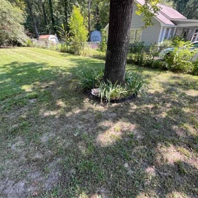 Leaf Removal by GTM ENTERPRISE reviewed on September 25, 2025