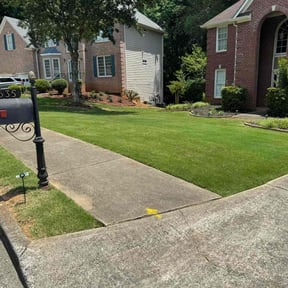 yard care by Green Gods LLC reviewed on January 29, 2026