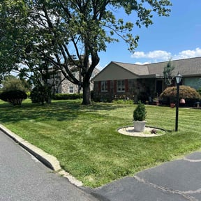 grass maintenance by Tylik Services reviewed on August 20, 2025