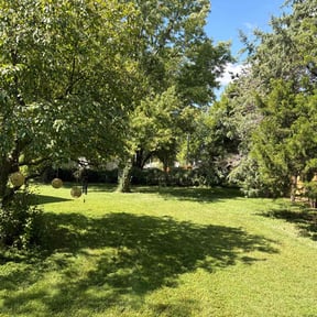 Long Grass Cleanup by Jerry Rios Lawn Serviceu reviewed on November 18, 2025