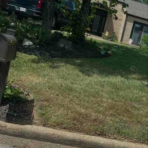 Flower Bed Weeding by Tim's Quick Trim reviewed on August 19, 2026