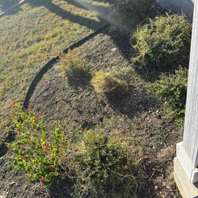 lawn service by Geessey&#039;s LLC. reviewed on May 7, 2025