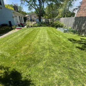 landscaping services by Forever Green FG LLC reviewed on August 15, 2025