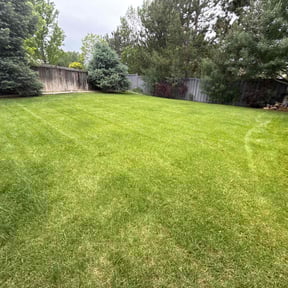residential landscaping by Koet lawn care reviewed on August 21, 2025