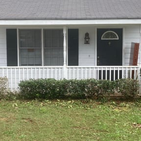 Bush Trimming by MIP reviewed on August 20, 2025